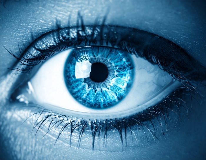 Opération M&A externalisée ophtalmologie par BDH Corporate Expansion en décembre 2025